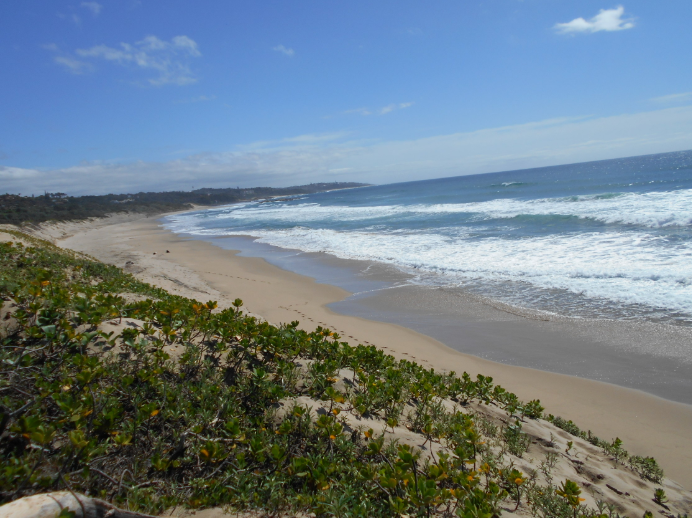 Umkombi Beach , , South Africa